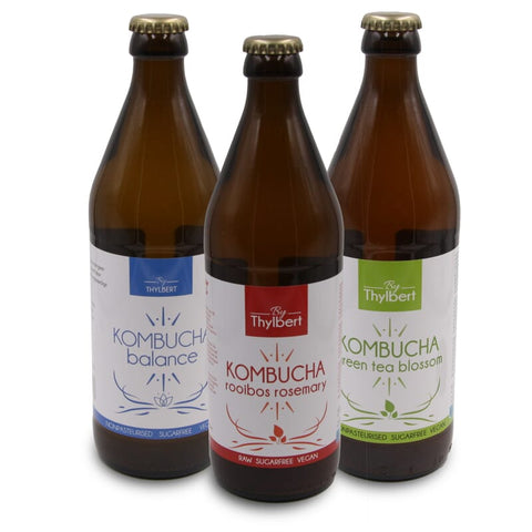 Kombucha Rooibos bio