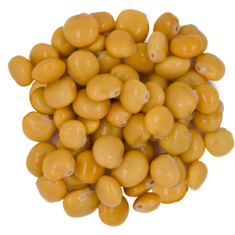 Lupine im Topf Bio