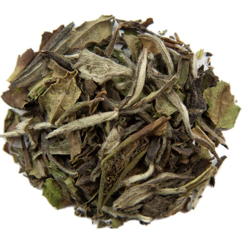Pai mu Tan weißer Tee Bio