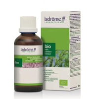 Wacholder Tinktur Bio Wacholder Tinktur Bio
