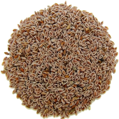 Psyllium