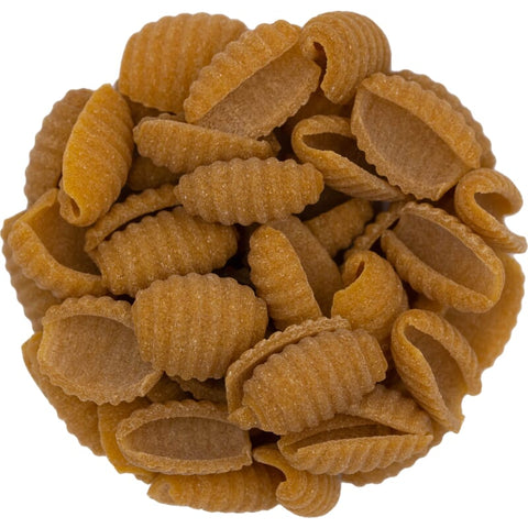 Conchiglie aus Teff bio