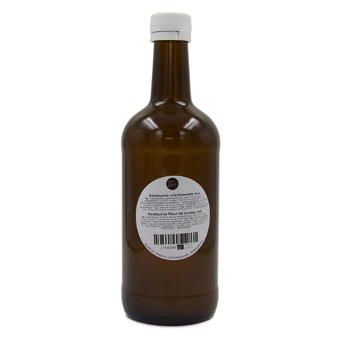 Kombucha Holunderblüte Bio