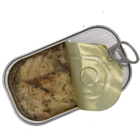 Schottische Makrele im Wasser