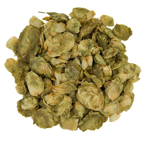 Hopfenzapfen