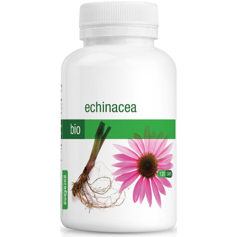 Echinacea Kapseln bio