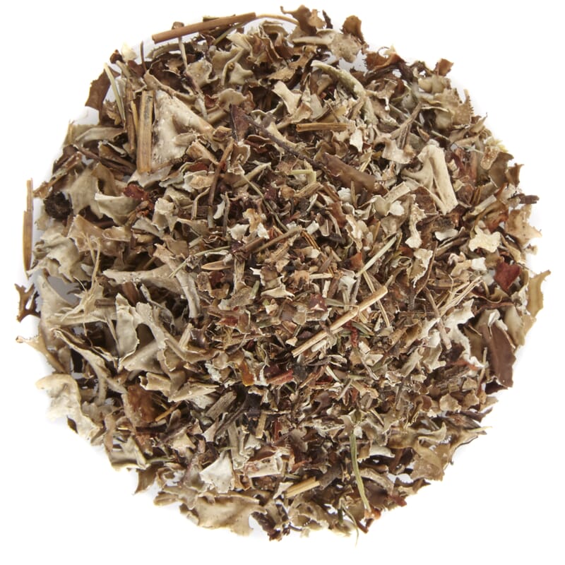 Isländisches Moos – Pit&Pit